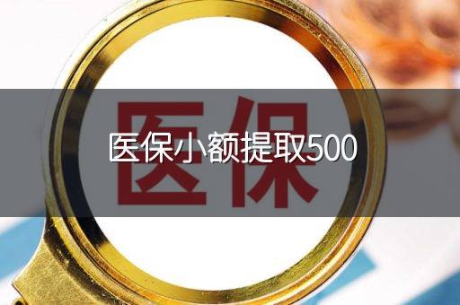 医保小额提取500